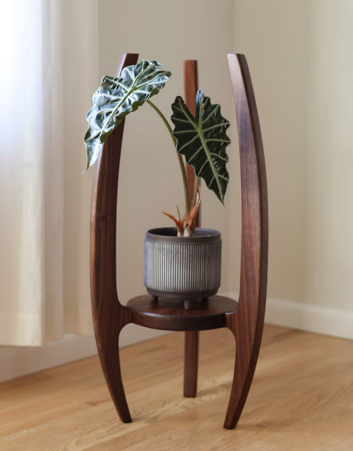 Natural Wood [Imported Teak] Plant Stand